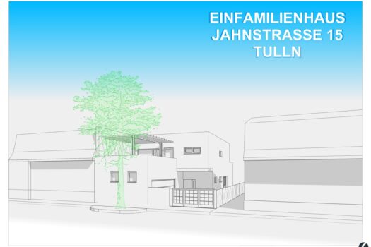 Einfamilienhaus Bebauuungsstudie