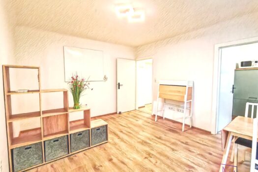 Zimmer - Blick Richtung Vorzimmer