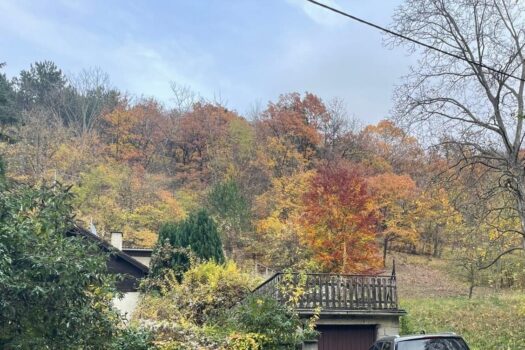 Klosterneuburg - Nähe Wien: Grundstück mit Baubewilligung für eine Luxusvilla in begehrter Lage im Wienerwald! naJByZBxdFG2uMynpeb9P2